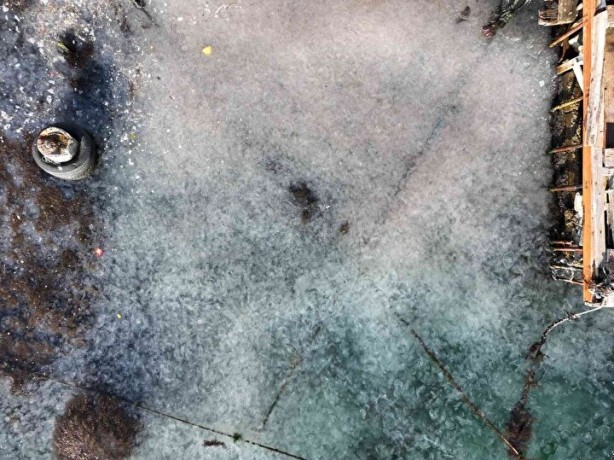 Foto - İstanbul'da ürküten görüntü! Her yeri istila ettiler