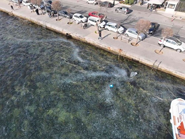 Foto - İstanbul'da ürküten görüntü! Her yeri istila ettiler