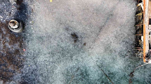 İstanbul'da ürküten görüntü! Her yeri istila ettiler