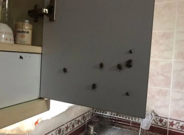 Foto - İstanbul'da yeni kabus! Evleri bastılar