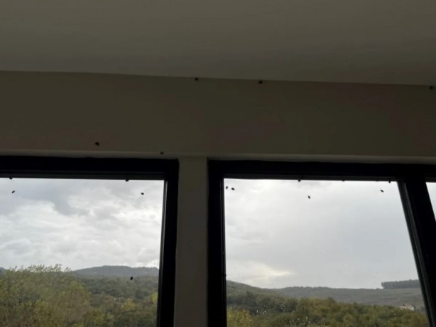 Foto - İstanbul'da yeni kabus! Evleri bastılar