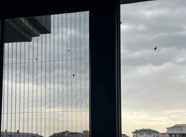 Foto - İstanbul'da yeni kabus! Evleri bastılar