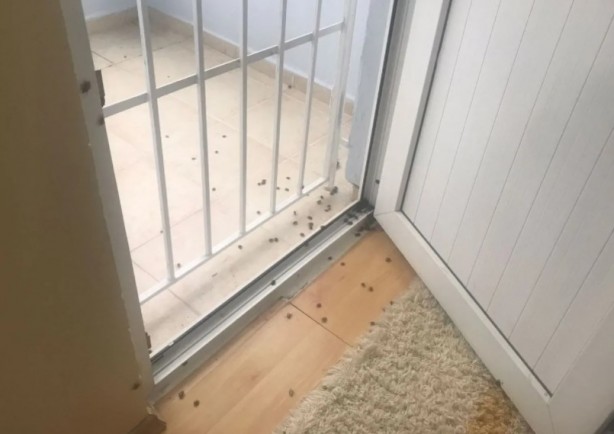 Foto - İstanbul'da yeni kabus! Evleri bastılar