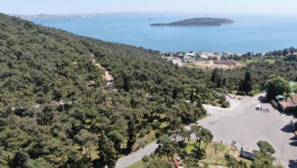 Foto - İstanbul'da yeni seferberlik! Hem doğaya hem de insana zararlı