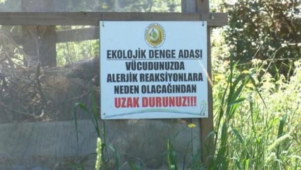 Foto - İstanbul'da yeni seferberlik! Hem doğaya hem de insana zararlı