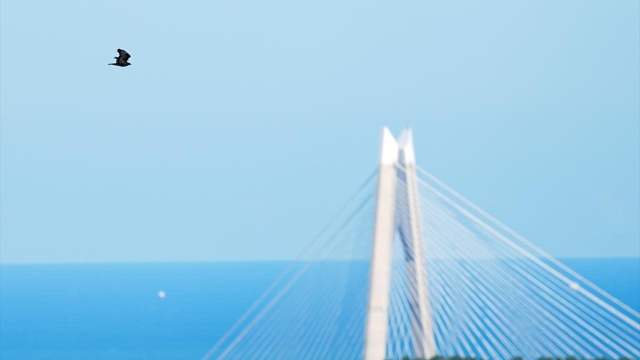 Foto - İstanbul’da yırtıcı kuş göçü gözlem etkinliği düzenlendi