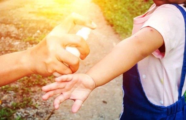 Foto - İstanbul'da zehirli sivrisinek alarmı! Zehirli sivrisinek belirtileri ve bunlardan korunma yolları neler?