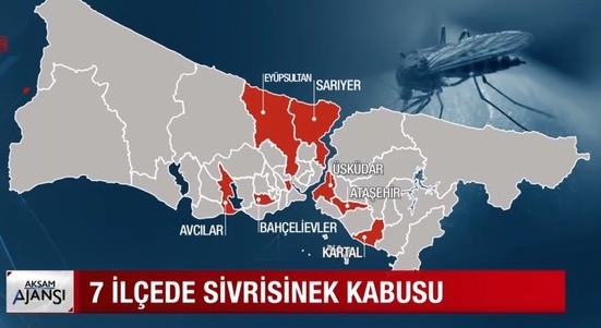 Foto - İstanbul'da zehirli sivrisinek alarmı! Zehirli sivrisinek belirtileri ve bunlardan korunma yolları neler?