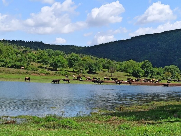 Foto - İstanbul'daki barajların doluluk oranı ne durumda? Susuzluk çekecek miyiz?