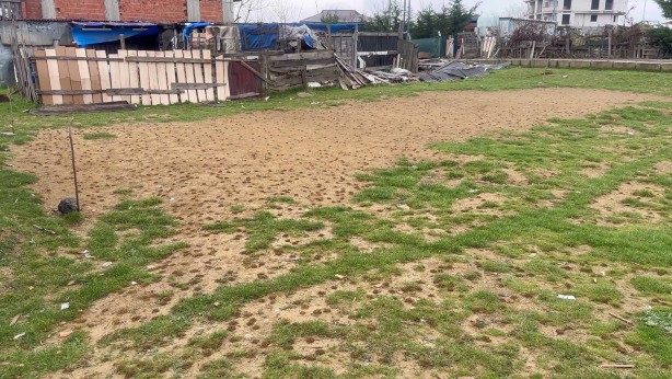 Foto - İstanbul'daki karıncaların hareketi tedirgin etti! Mahalleli tam anlamıyla şaşkın