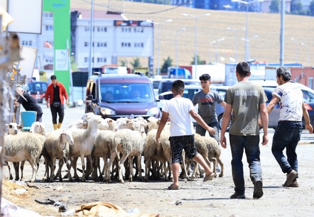 Foto - İstanbul'daki kurban pazarları toplanıyor