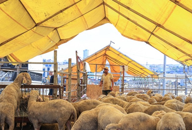 Foto - İstanbul'daki kurban pazarları toplanıyor