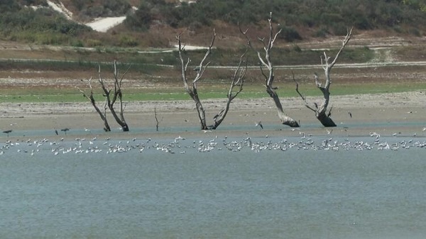 Foto - İstanbul'daki o baraj kurudu! Pikniğe gidenlerin araçları bataklığa saplandı