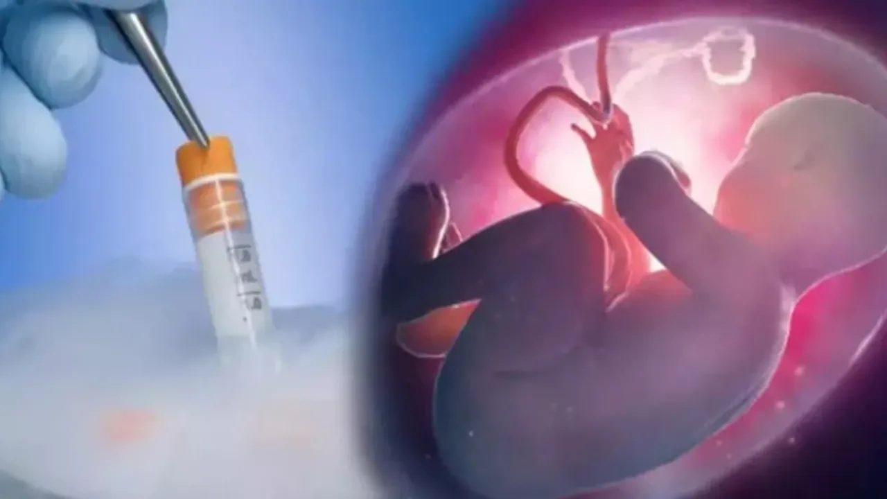 İstanbul’daki o kadın doğum kliniğinde büyük skandal! Rezaleti duyanların midesi bulandı