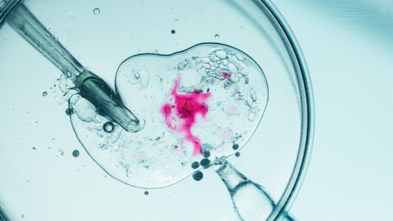 Foto - İstanbul’daki o kadın doğum kliniğinde büyük skandal! Rezaleti duyanların midesi bulandı