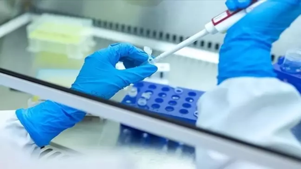 Foto - İstanbul’daki o kadın doğum kliniğinde büyük skandal! Rezaleti duyanların midesi bulandı