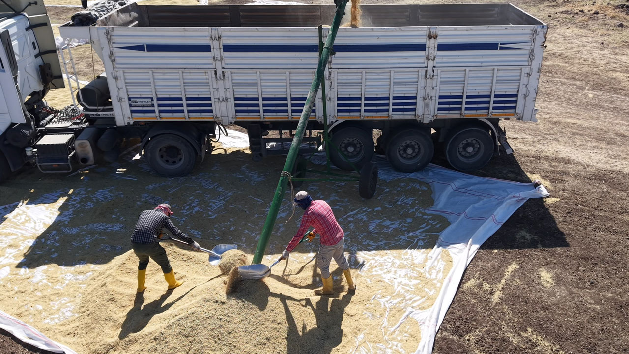 Foto - İstanbul’dan Diyarbakır’a dönüş hikayesi! Barışın bereketiyle organik pirinç üretimi