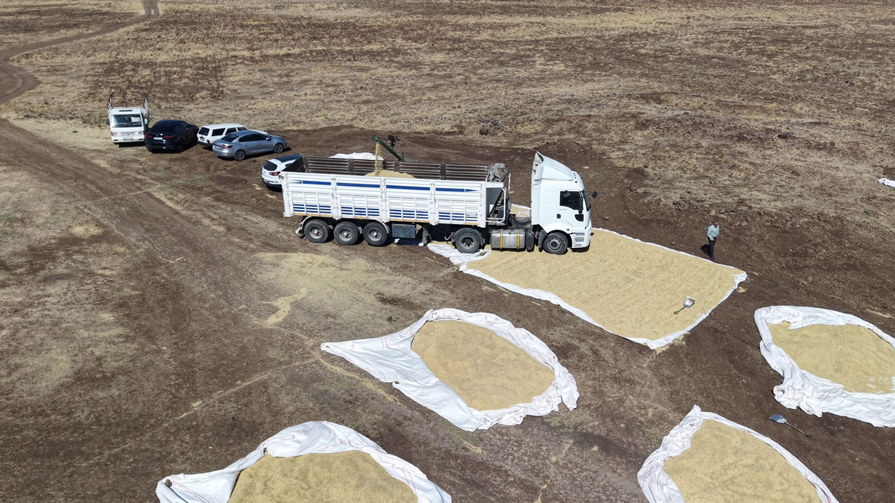 Foto - İstanbul’dan Diyarbakır’a dönüş hikayesi! Barışın bereketiyle organik pirinç üretimi