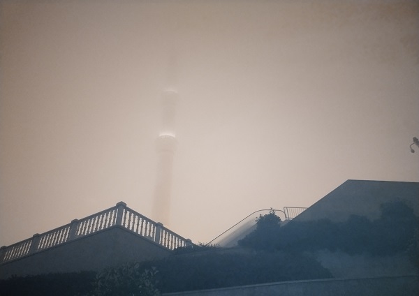 Foto - İstanbul'dan sis manzaraları