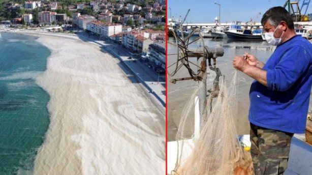 İstanbul'dan sonra Tekirdağ'ı da deniz salyası kabusu vurdu