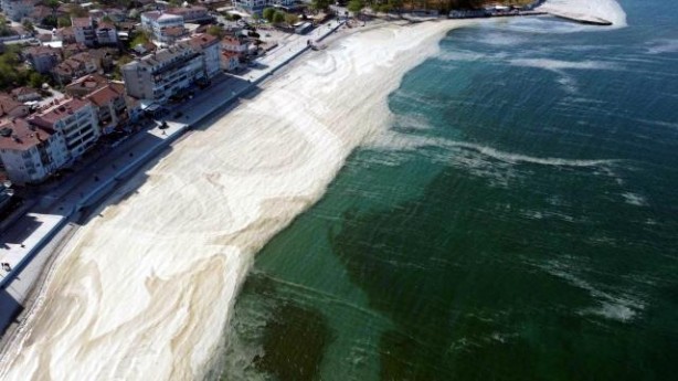 Foto - İstanbul'dan sonra Tekirdağ'ı da deniz salyası kabusu vurdu