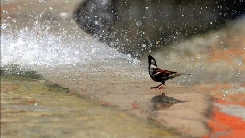 Foto - İstanbullular bugüne dikkat! Eyyam-ı Bahur geliyor