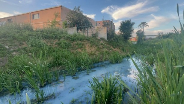 Foto - İstanbulluya kötü haber! İçme suyunun rengi maviye döndü