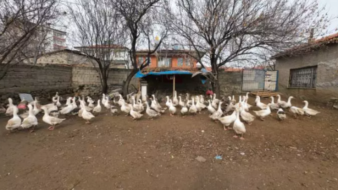 Verdiği karar hayatını değiştirdi:Şimdi paraya para demiyor!