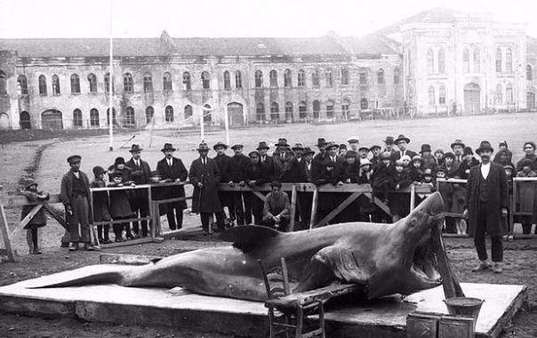 Foto - İstanbul'un eski hali göz doldurdu! İşte hiç görülmemiş fotoğraflar...