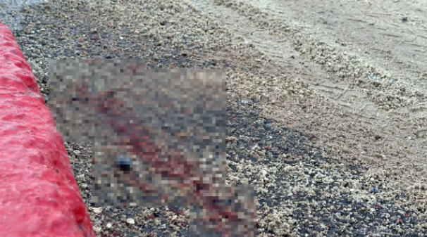 Foto - İstanbul'un Fatih ilçesinde İETT otobüsü ile motosikletin çarpışması sonucu meydana gelen kazada, hamile bir kadın ağır şekilde yaralandı.