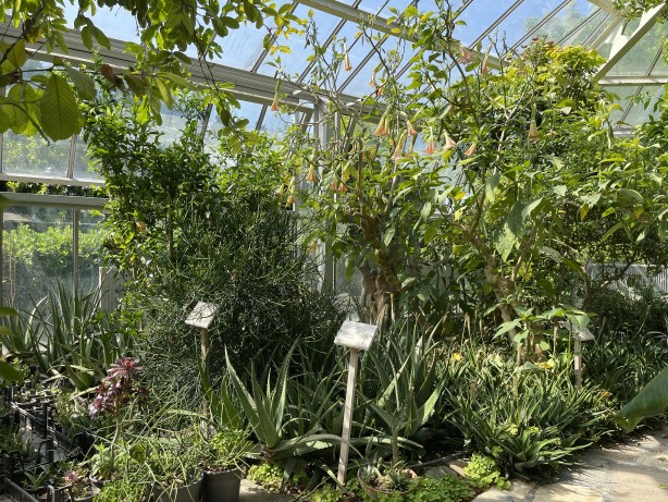 Foto - İstanbul'un göbeğinde doğal şifa kaynağı