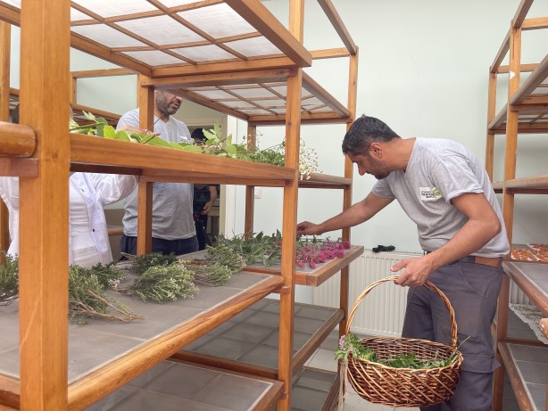 Foto - İstanbul'un göbeğinde doğal şifa kaynağı