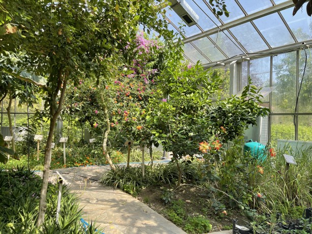 İstanbul'un göbeğinde doğal şifa kaynağı