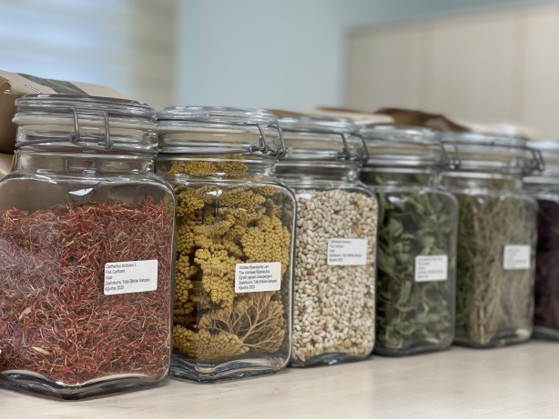 Foto - İstanbul'un göbeğinde doğal şifa kaynağı