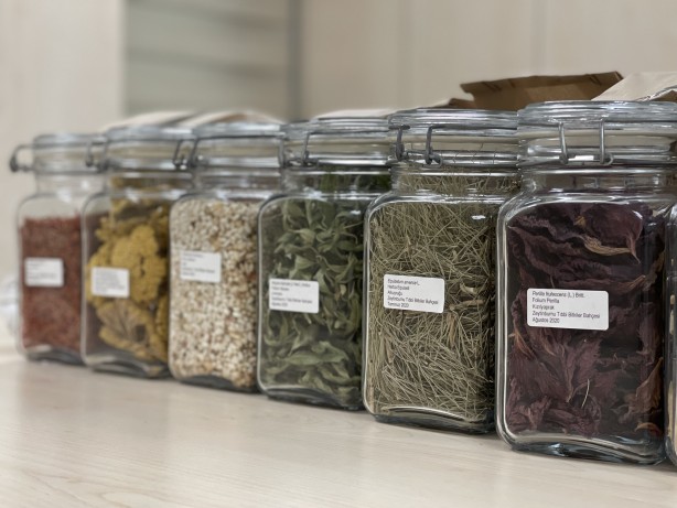 Foto - İstanbul'un göbeğinde doğal şifa kaynağı