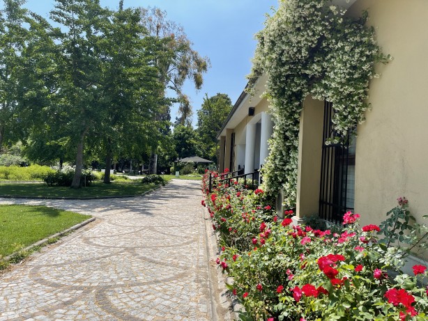 Foto - İstanbul'un göbeğinde doğal şifa kaynağı