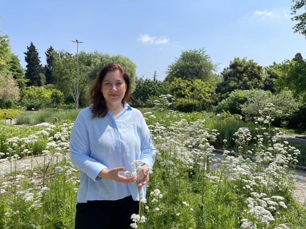 Foto - İstanbul'un göbeğinde doğal şifa kaynağı