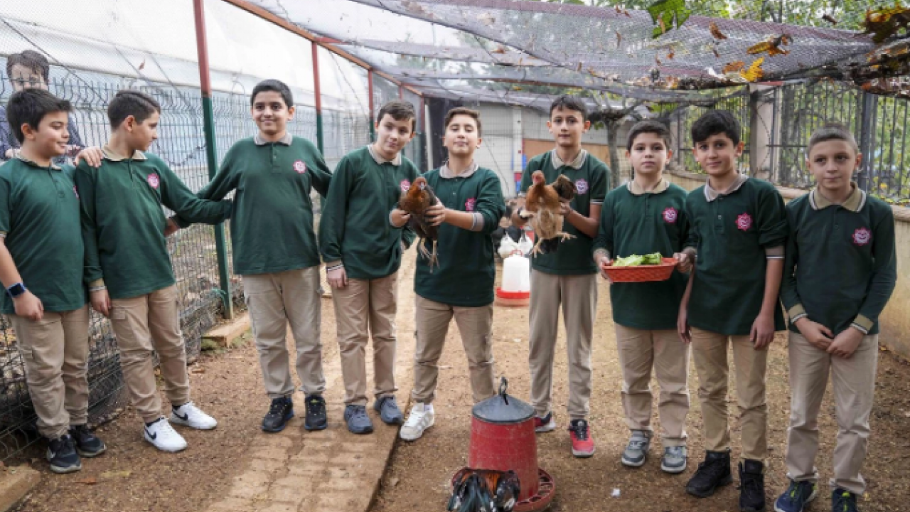 İstanbul’un göbeğinde şaşırtan manzara! Okul bahçesi çiftliğe döndü