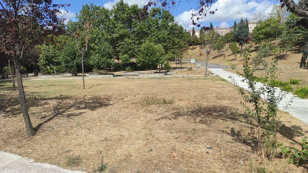 Foto - İstanbul’un orta yerinde! Hayvanlar ilgisizlikten ölüyor