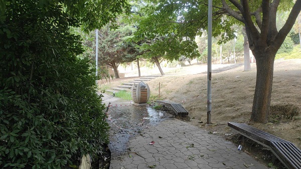 Foto - İstanbul’un orta yerinde! Hayvanlar ilgisizlikten ölüyor