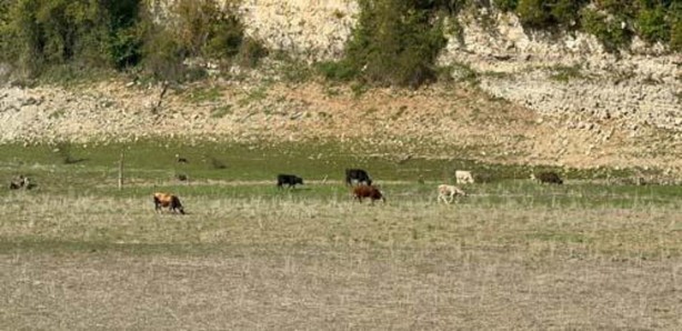Foto - İstanbul’un suyu hızla azalıyor!