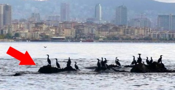 Foto - İstanbul'un tam ortasında! Depremle sulara gömülen kayıp ada Vordonisi keşfedildi