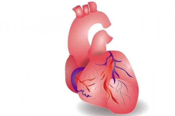 Foto - İşte 10 ipucu! Soğuk havalarda kalp sağlığını korumanın yolları