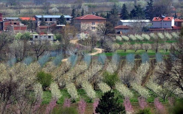 Foto - İşte 2018’in en sağlıklı şehirleri (Listede Türkiye’den 4 şehir var)