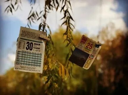 Foto - İşte 2022’de Google’da en çok aranan kelimeler…