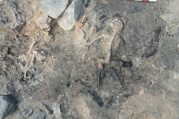 İşte 2023'ün en önemli arkeolojik keşfi