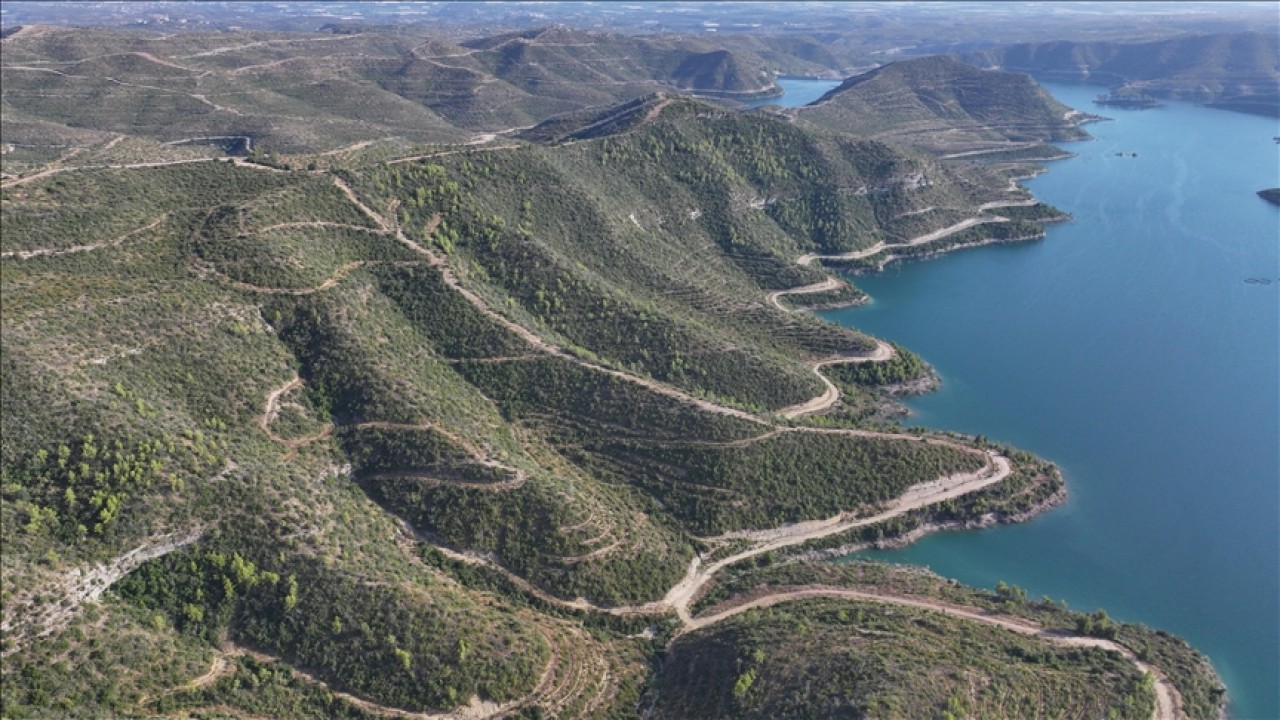 Foto - İşte 4 yıl önce kül olan ormanların son hali! Vay canına yapılan otellere bakın otellere