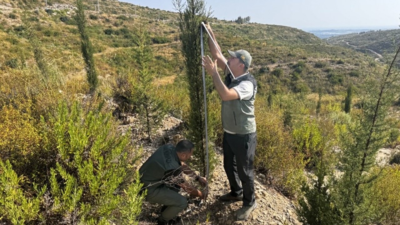 Foto - İşte 4 yıl önce kül olan ormanların son hali! Vay canına yapılan otellere bakın otellere