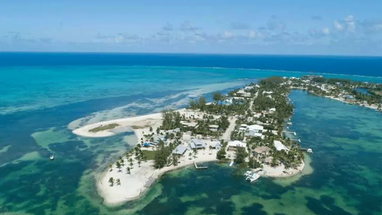 Foto - İşte ABD'nin en çok borcu olduğu ülkeler! Bakın Türkiye kaçıncı sırada!