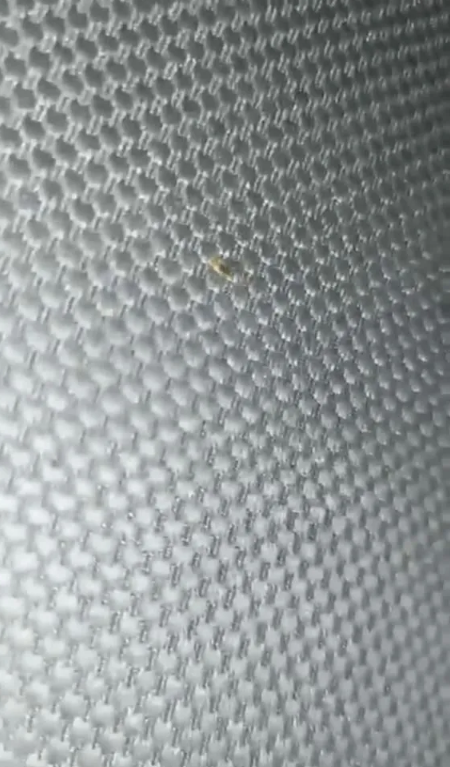 Foto - İşte ayakta yolculuğun ilginç sebebi! Şehirlerarası otobüste şaşkına çeviren görüntü